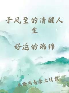 于凤至的清醒人生小说封面 于凤至的清醒人生