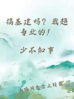 搞基建吗？我超专业的！